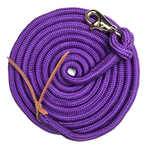 Kensington 25ft Solid Color Clinician Training Lead - Purple