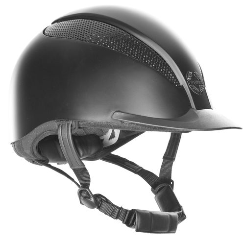 Champion Air-Tech Deluxe Helmet - Black Silk