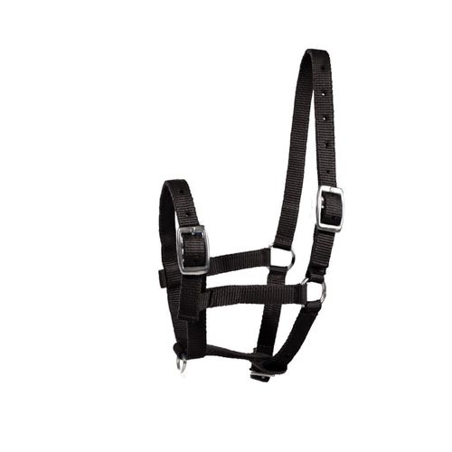 Horze Foal Halter - Black