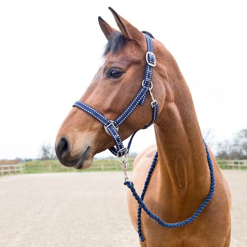 Horze Cooper Halter w/Lead Rope - Peacoat Dark Blue