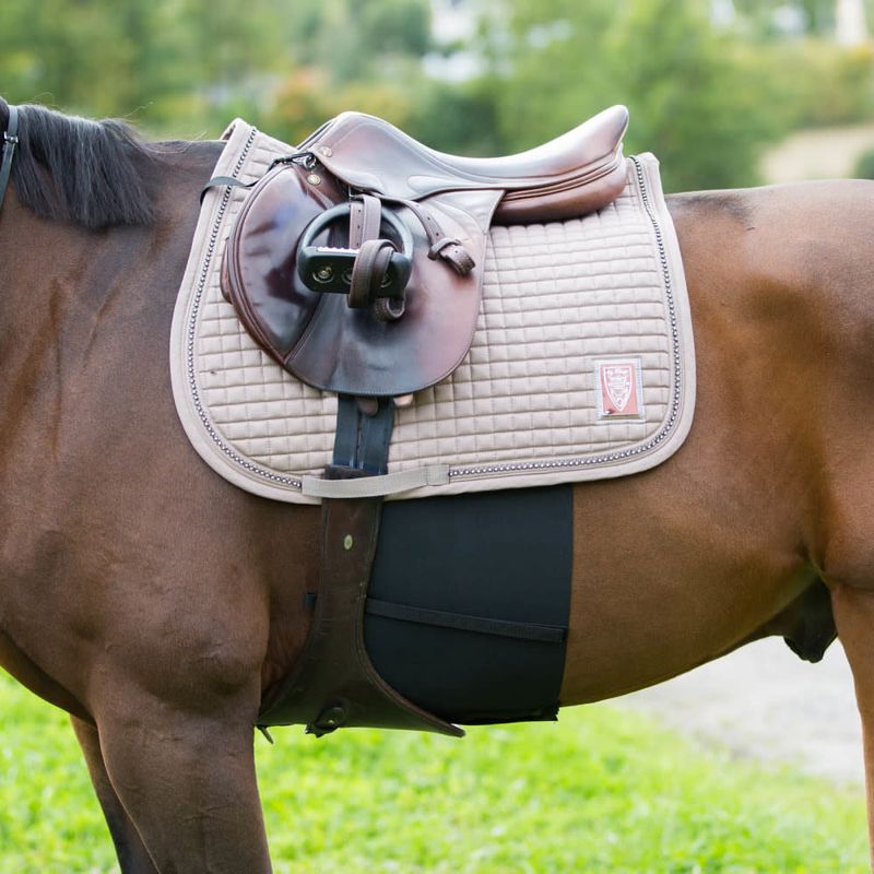 Horze Elastic Belly Guard - Horse / Black