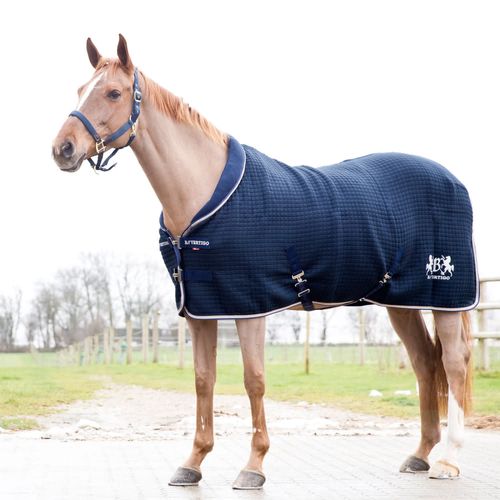 B Vertigo Theo Thermo Wool Blend Stable Blanket/Cooler - Dark Navy