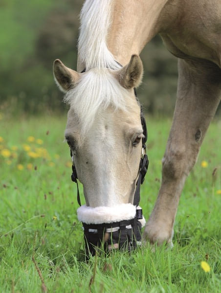 Shires Deluxe Comfort Grazing Muzzle - Black