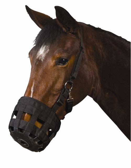 Roma Grazing Muzzle - Black