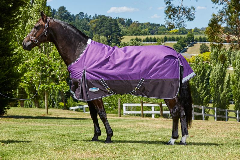 Weatherbeeta Comfitec Plus Dynamic Standard Neck Medium/Lite Turnout