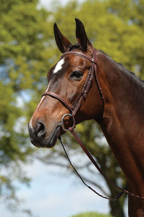 Kincade Raised Fancy Stitched Bridle - Brown