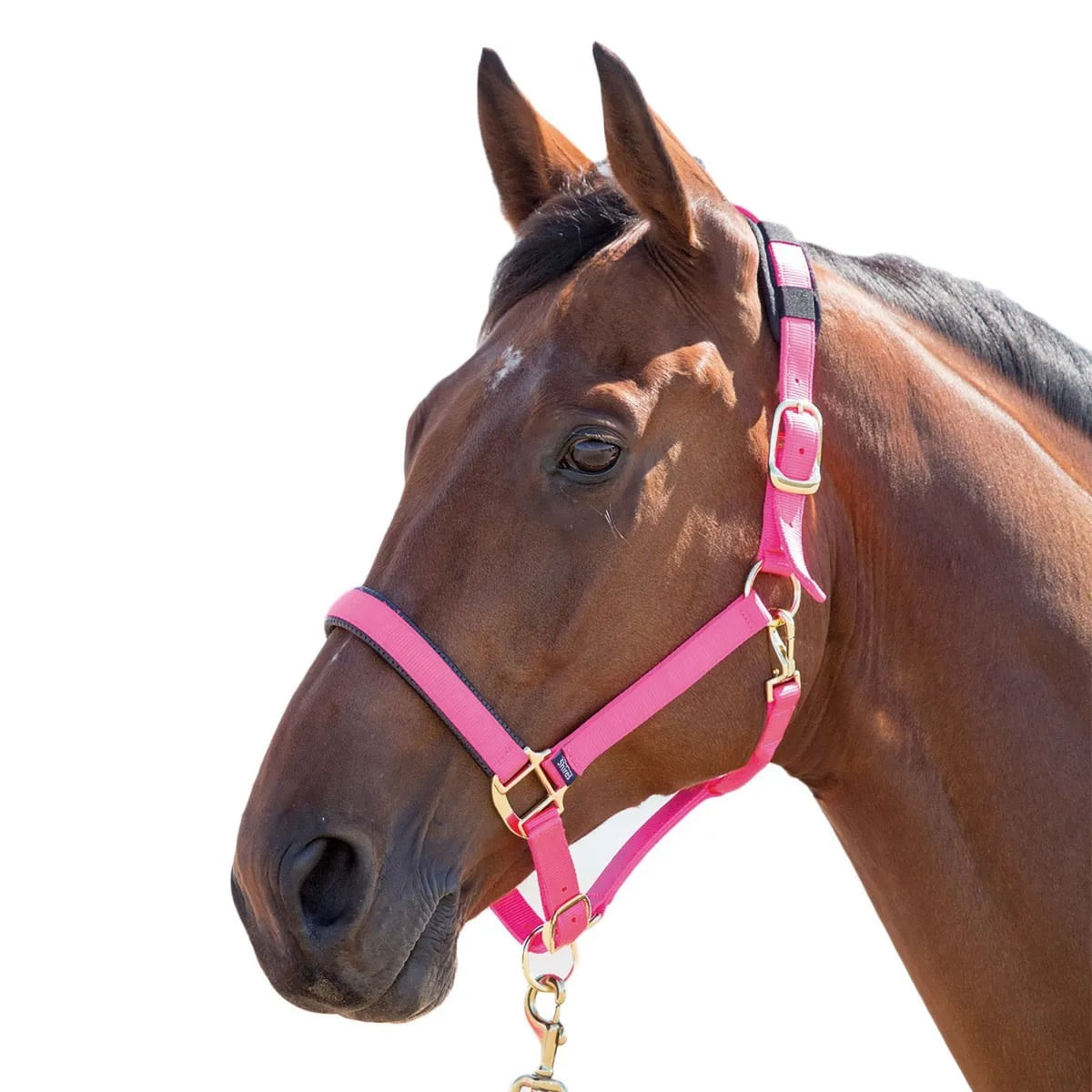 Smoked high quality Topaz Diamanté Crystal Leather Horse Cob Pony Padded Headcollar Halter