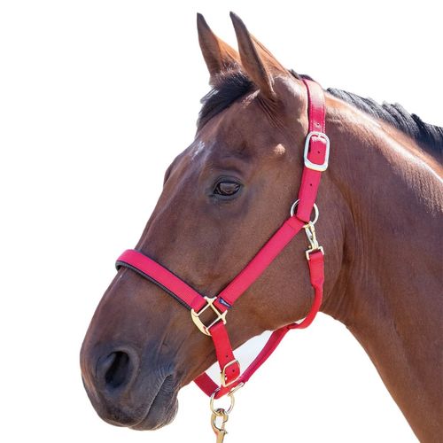 Shires Topaz Leather Breakaway Nylon Halter - Red