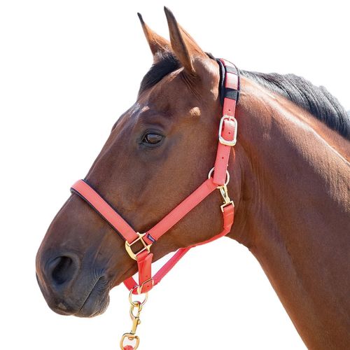 Shires Topaz Leather Breakaway Nylon Halter - Orange