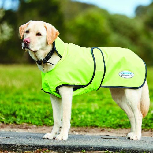 Weatherbeeta Comfitec Windbreaker 420D Deluxe Dog Coat - Yellow/Black