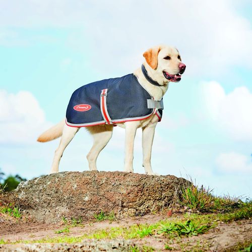 Weatherbeeta Comfitec 1200D Therapy-Tec Dog Coat - Black/Silver/Red