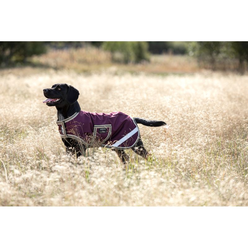 Amigo Ripstop Dog Rug Fig Navy Tan Amigo RRR0J2 GFBM Bit of Britain