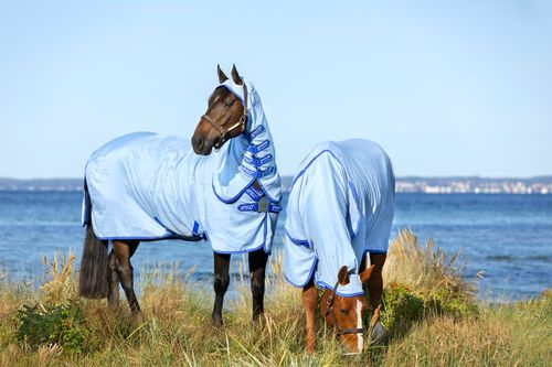 Amigo Pony Ripstop Hoody - Azure Blue/Strong Blue/Silver