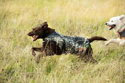 Rambo Dog Rug - Green Camo