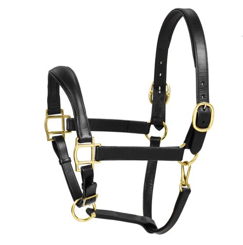 Aramas Mild Raised Z Shape Padded Halter - Black/Gold