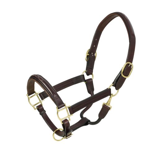 Aramas Fancy Plain Raised Halter w/Brass Snap - Chocolate