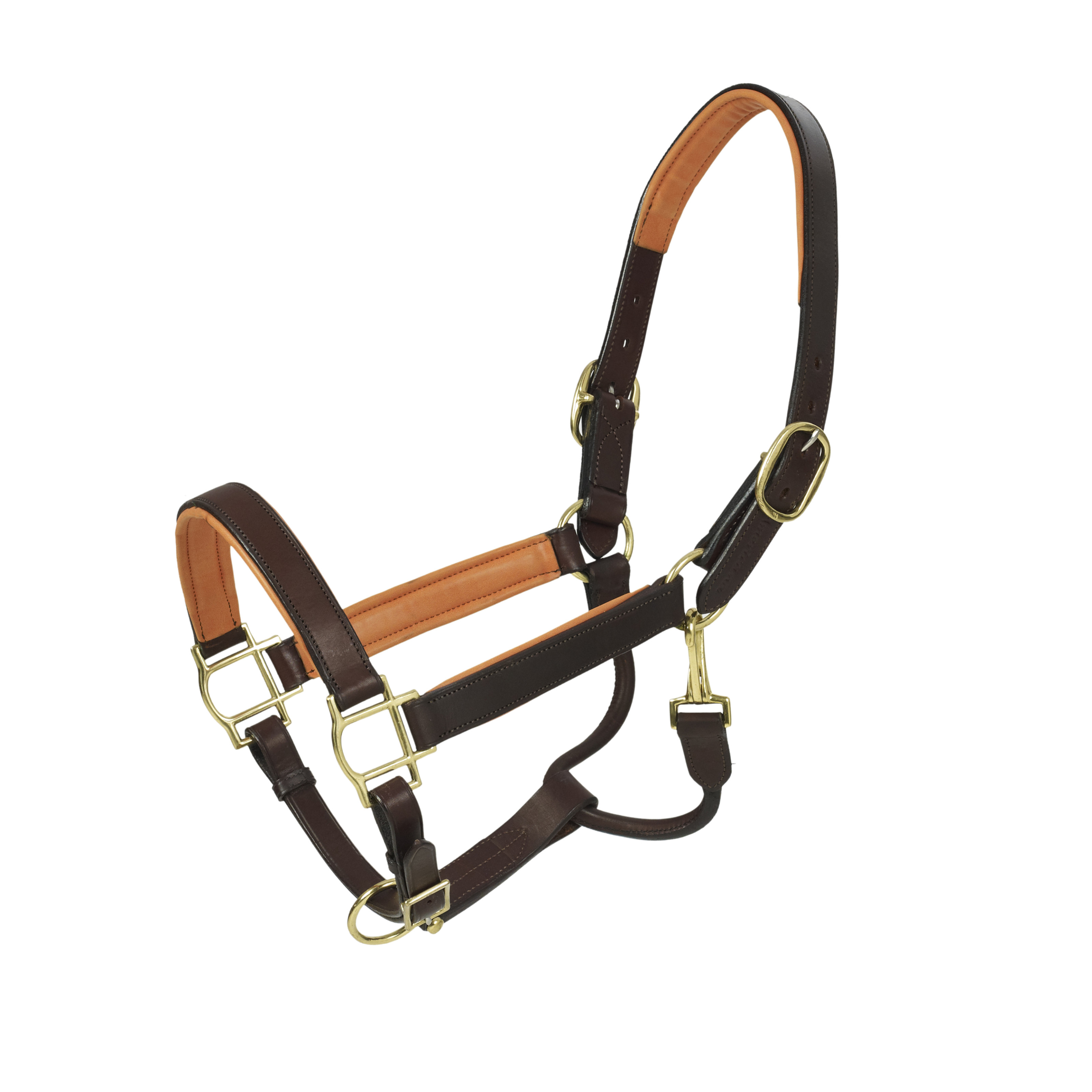 Tory Cob Size Leather Halter