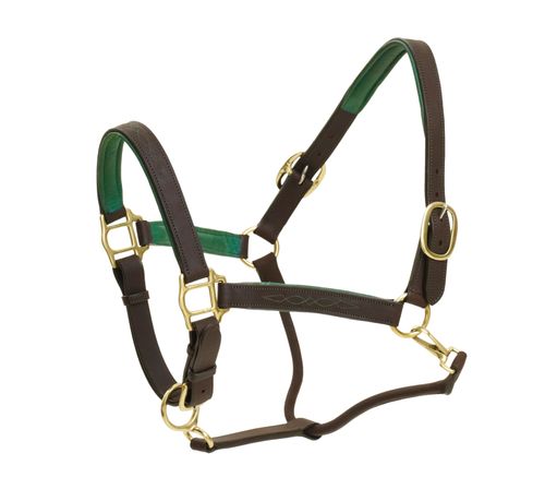 Ovation Richtan Luxury Padded Halter - Brown/Hunter