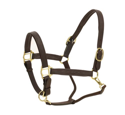 Ovation Richtan Luxury Padded Halter - Brown/Brown