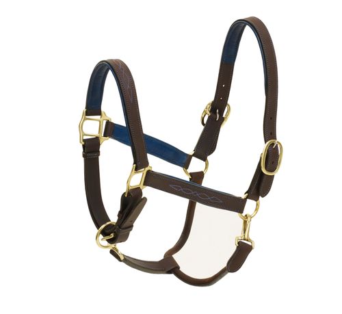 Ovation Richtan Luxury Padded Halter - Brown/Blue