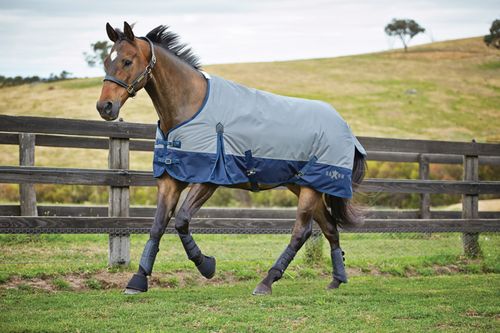 Saxon 600D with Gusset Standard Neck Medium II Turnout - Grey/Navy