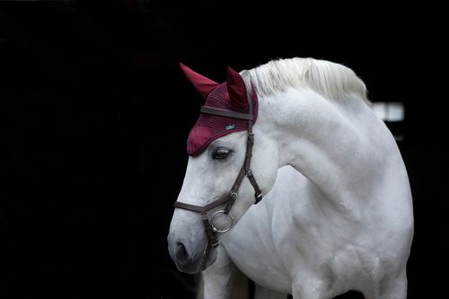 Rambo Ear Net - Burgundy/Navy