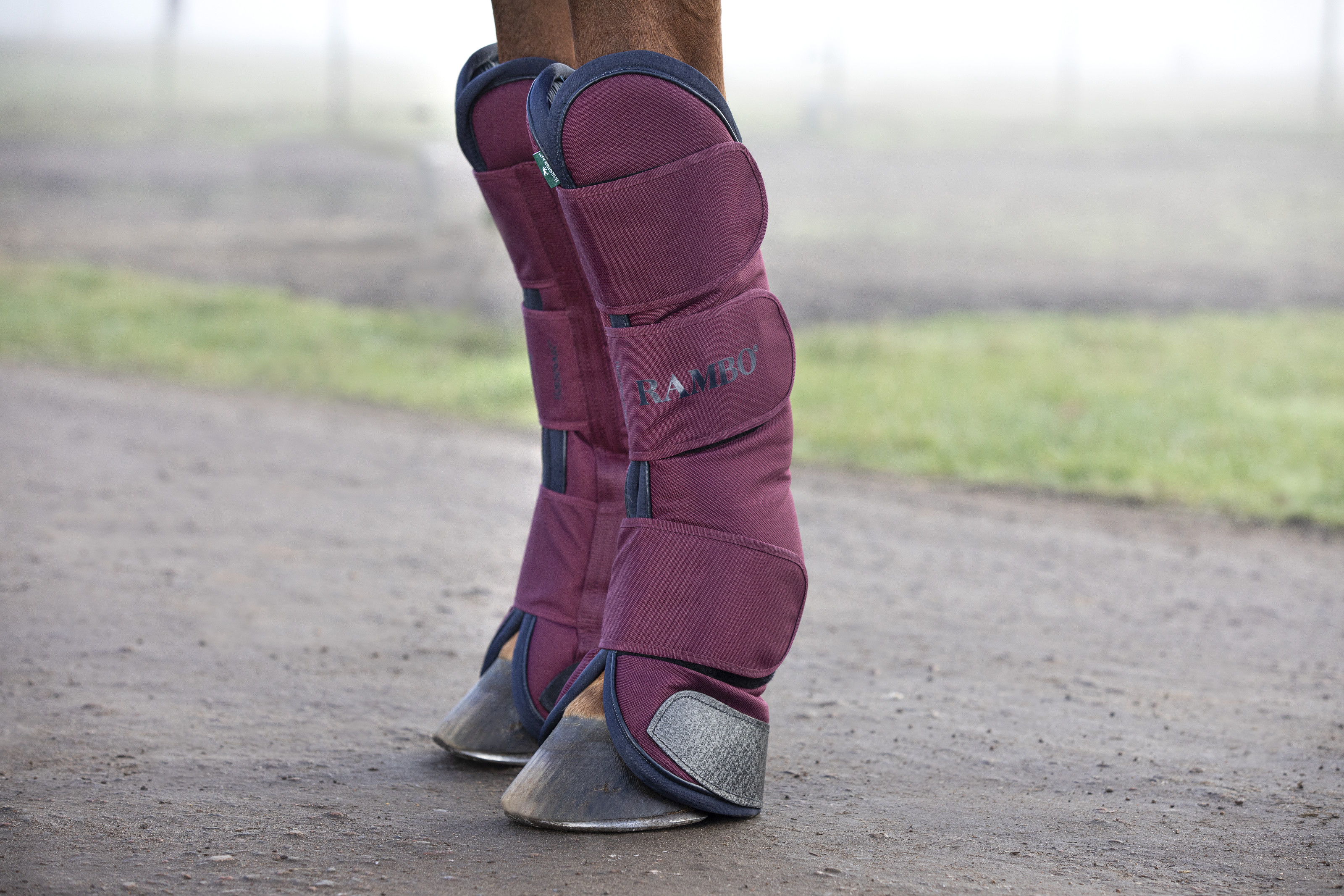 Pony travel clearance boots