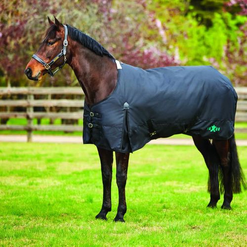 Saxon 1200D w/Gusset Standard Neck Heavy II - Black/Black