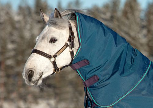 Rhino Hood 150g - Navy/Grey/Aqua/Grey