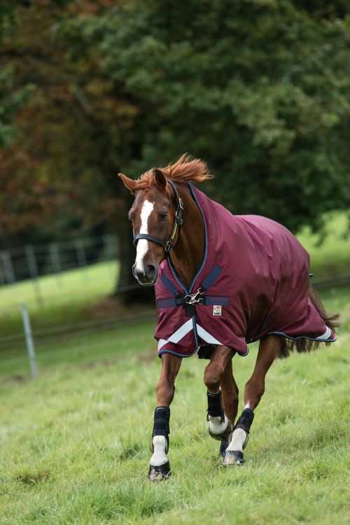 Rambo Wug Turnout 200g - Burgundy/Burgundy/Teal/Navy