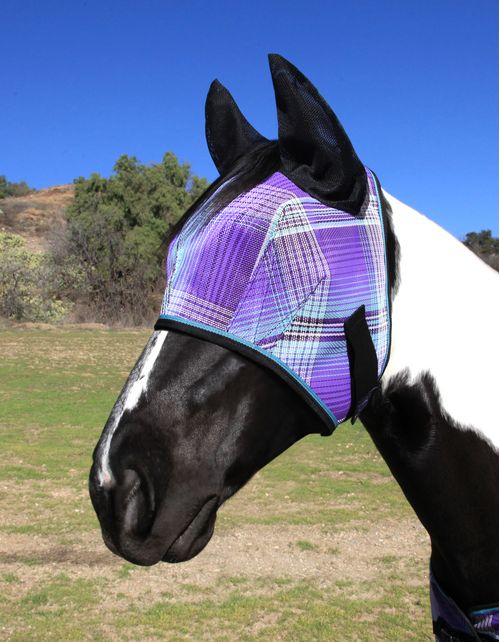 Kensington Signature Fly Mask w/Web Trim, Ears and Forelock Hole - Lavender Mint