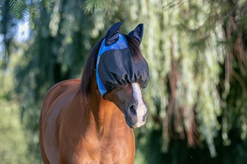 Kensington UViaitor Dartless Fly Mask w/Web Trim, Ears and Forelock Hole - Kentucky Blue