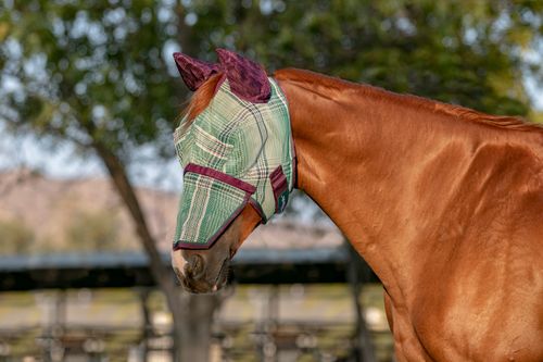 Kensington Signature Fly Mask w/Nose, Ears and Forelock Hole - Imperial Jade