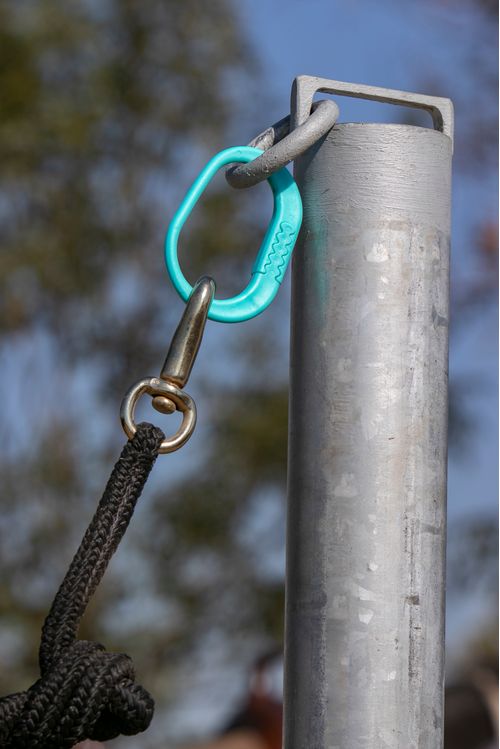 Kensington Safe-T-Tie (2 pack) - Turquoise