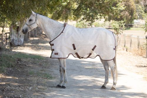 Kensington Protective Sheet SureFit - Desert Sand