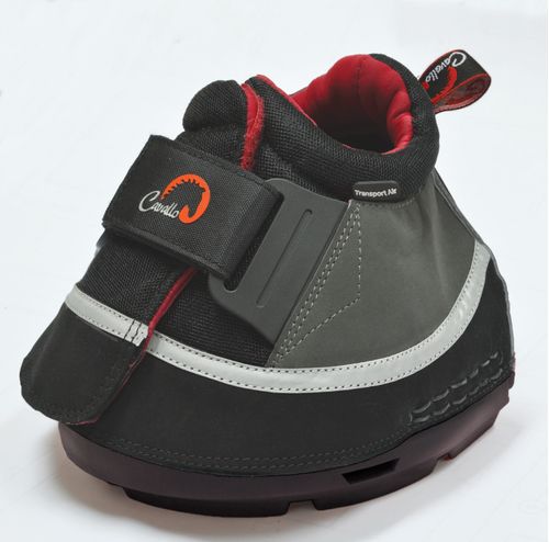 Cavallo Transport Air Boot - Black