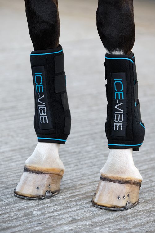 Ice-Vibe Horse Boot - Black/Aqua