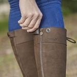 Main
