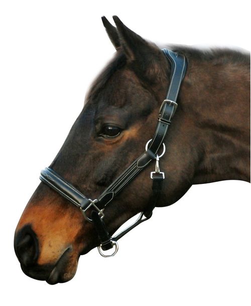 Henri de Rivel Stress Free Halter w/Fancy Contrast Stitching - Black