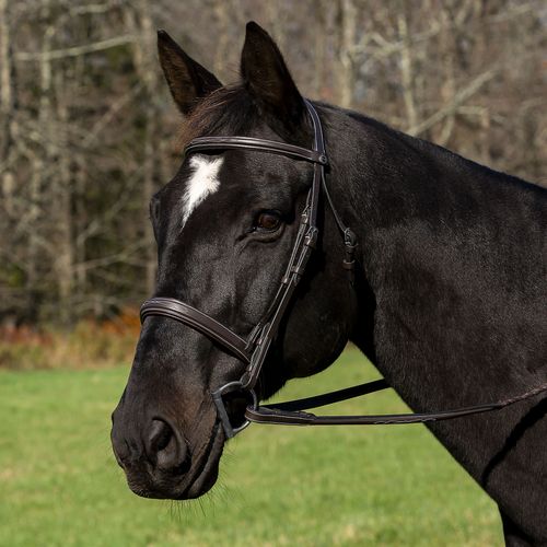 Henri de Rivel Pro Mono Crown Bridle w/Padded Wide Noseband  w/Laced Reins - Havana