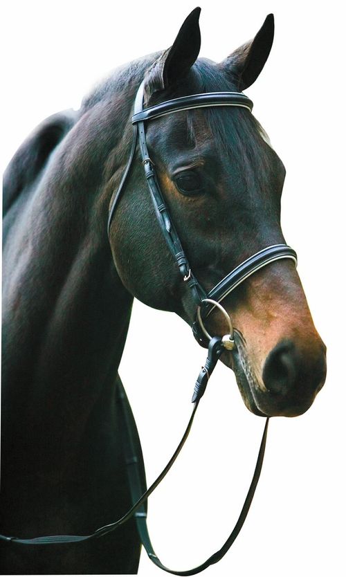 Henri de Rivel Pro Padded Dressage Bridle w/Web Reins - Black/White
