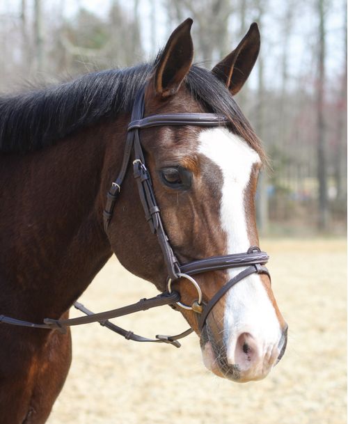 Henri de Rivel Kushy Bridle w/Detachable Flash - Havana