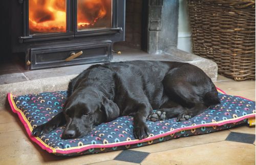 Digby & Fox Waterproof Dog Bed - Dog House