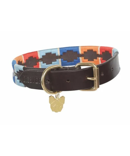 Digby & Fox Drover Polo Dog Collar - Turquoise/Red/Orange/Blue