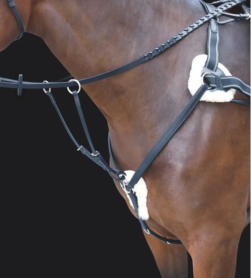 Shires Rossano 5-Point Breastplate - Black