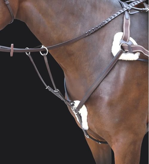 Shires Rossano 5-Point Breastplate - Havana