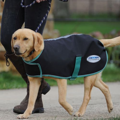 Weatherbeeta Green-Tec 900D Dog Coat Lite Plus - Black/Bottle Green