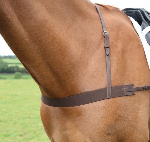 Shires Avignon Elastic Breast Girth - Havana