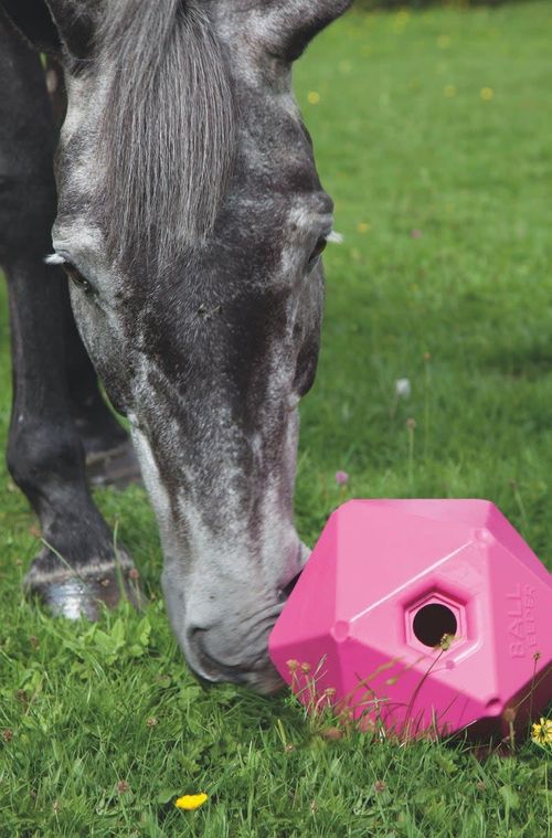 Shires Ball Feeder - Pink