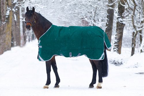 Rambo Original Turnout w/Leg Arches 400g - Green/Silver
